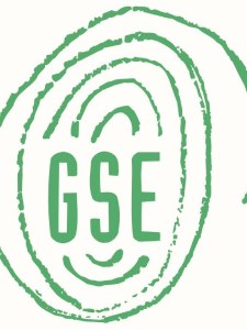 gse-logo